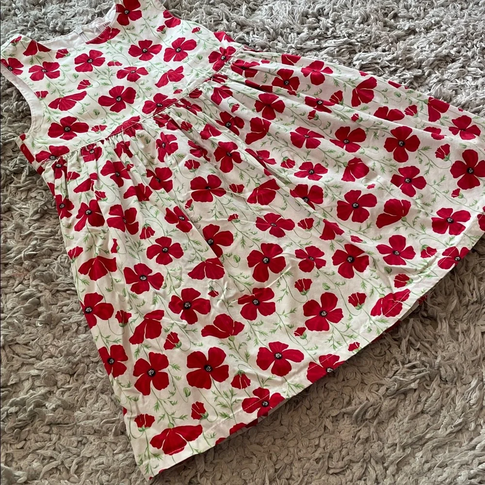 Vintage 2003 Gymboree “Poppies” Poppy Dress, Size 5